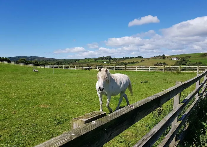 Greystones Clock Tower Holiday home